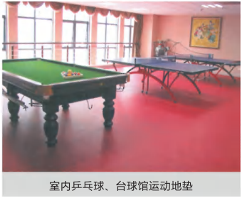 室内乒乓球、台球馆运动地垫